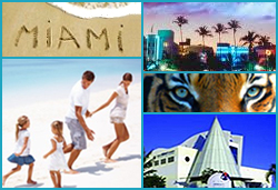 Fun Things To Do In Miami-Dade County FL