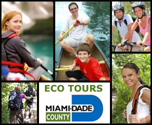 Miami Eco Tours - Eco Adventures: Kayaking, Hiking, Biking, Conoe Excursions, and Snorkeling. 